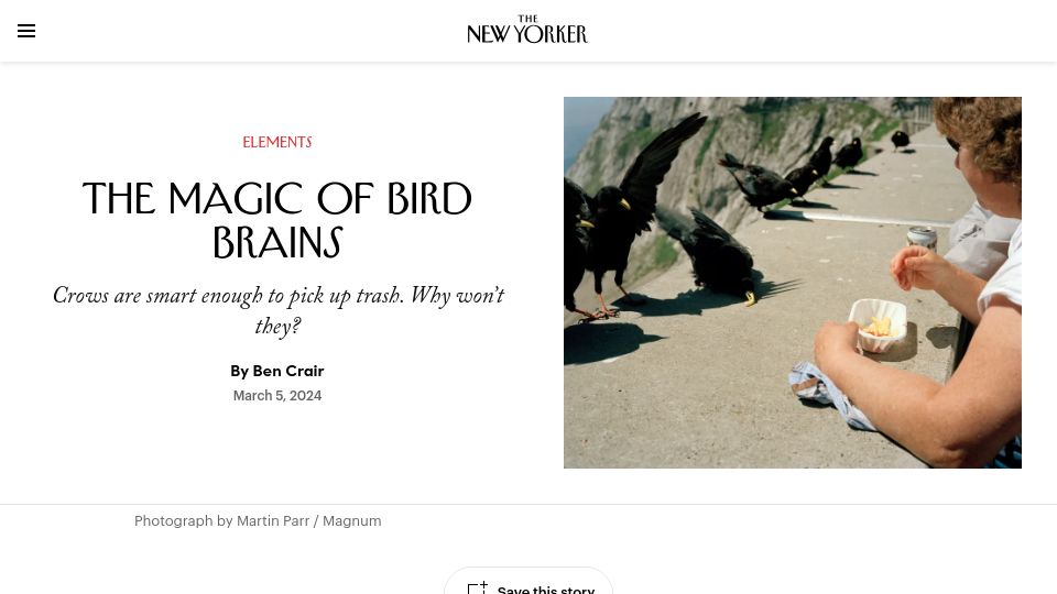 Screenshot of newyorker.com: The Magic of Bird Brains