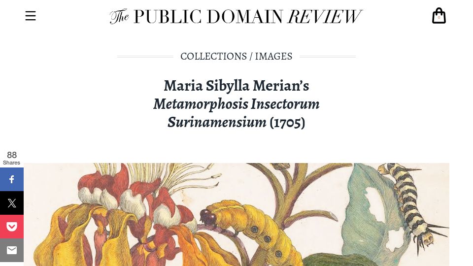 Screenshot of publicdomainreview.org: Maria Sibylla Merian's Metamorphosis Insectorum Surinamensium (1705)