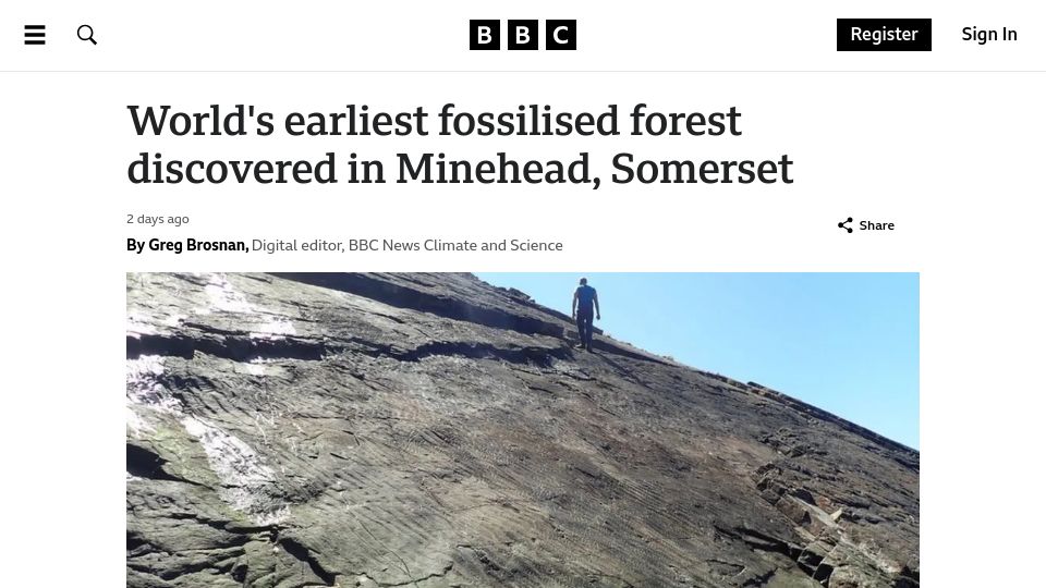 Screenshot of bbc.co.uk: Earliest forest discovered, scientists say