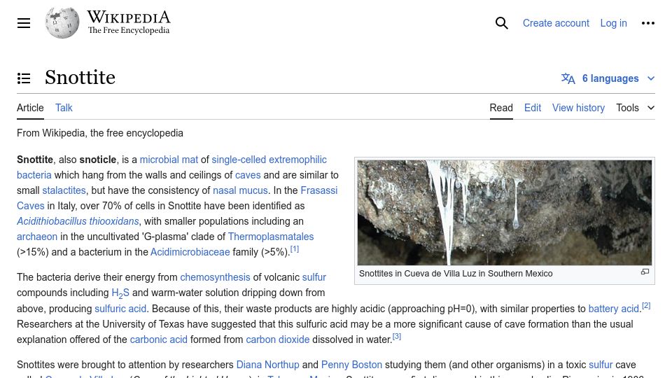 Screenshot of en.wikipedia.org: Snottite
