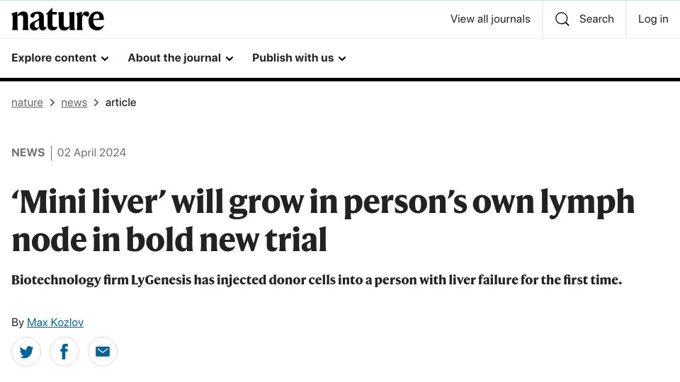 Screenshot of nature.com: 'Mini liver' will grow in person's own lymph node in bold new trial