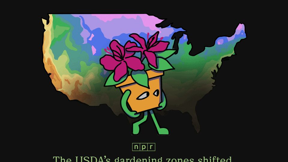Screenshot of apps.npr.org: The USDA's gardening zones shifted, this map shows you what's changed
