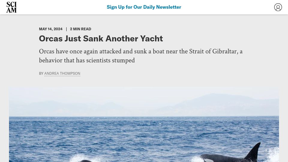 Screenshot of scientificamerican.com: Orcas Just Sank Another Yacht