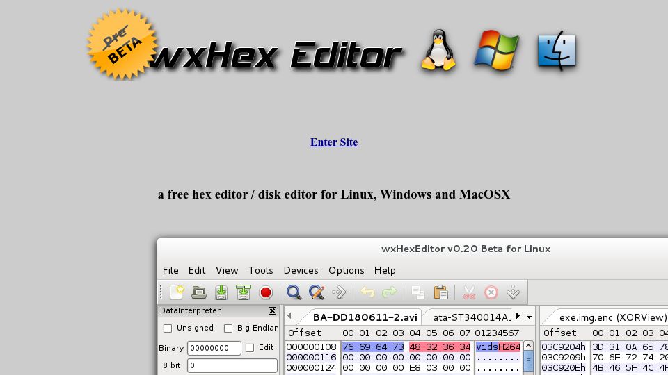 Screenshot of wxhexeditor.org: wxHexEditor — a Free Hex Editor / Disk Editor for Huge Files or Devices