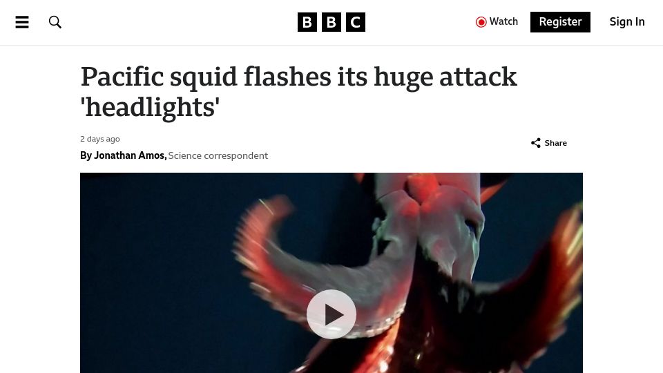 Screenshot of bbc.com: Pacific squid flashes its attack 'headlights'