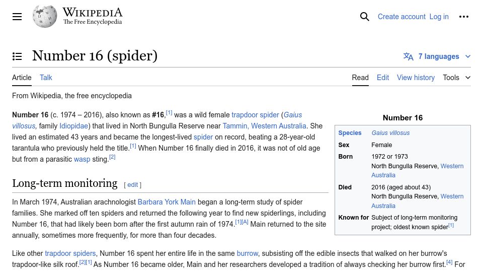 Screenshot of en.wikipedia.org: Number 16 (spider)