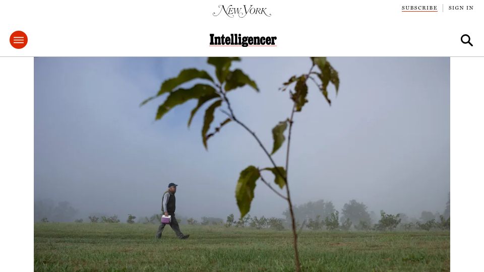 Screenshot of nymag.com: The problem with the Darling 58 genetically modified chestnut tree