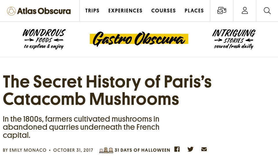Screenshot of atlasobscura.com: Paris's Catacomb Mushrooms (2017)