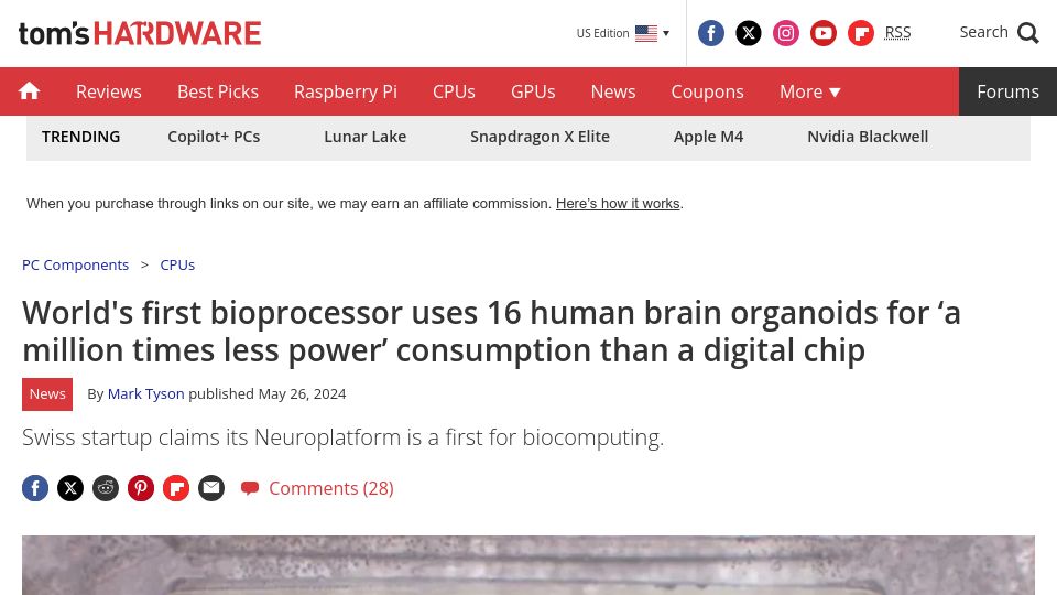 Screenshot of tomshardware.com: First Bioprocessor Powered by Human Brain Organoids