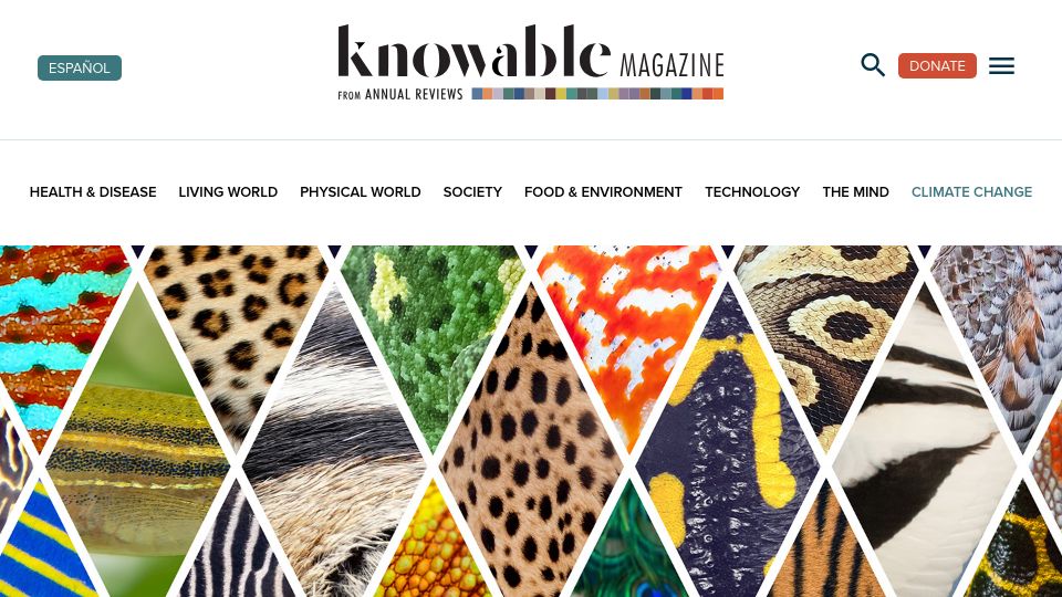 Screenshot of knowablemagazine.org: Spots, stripes and more: Working out the logic of animal patterns