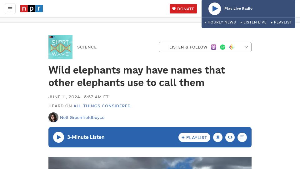 Screenshot of npr.org: Wild elephants may have names that other elephants use to call them