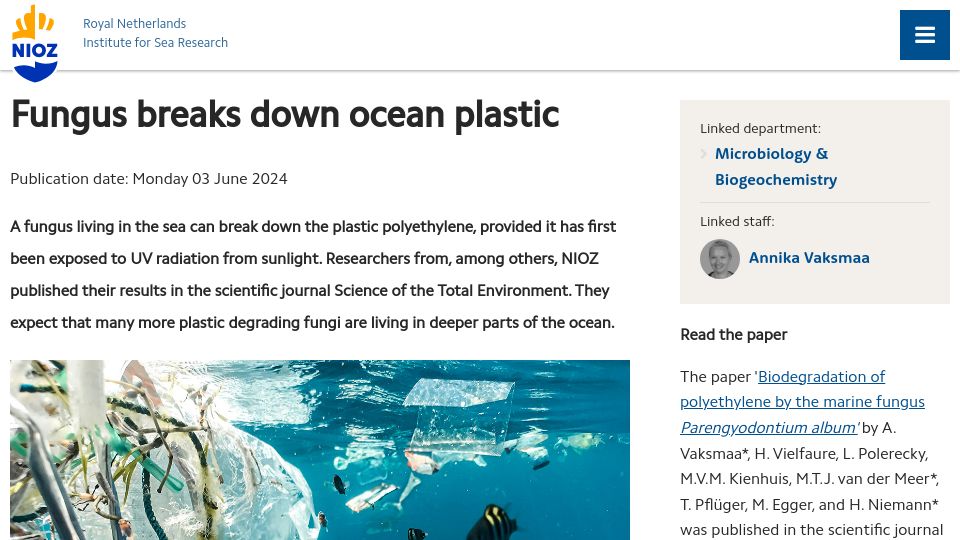 Screenshot of nioz.nl: Fungus breaks down ocean plastic