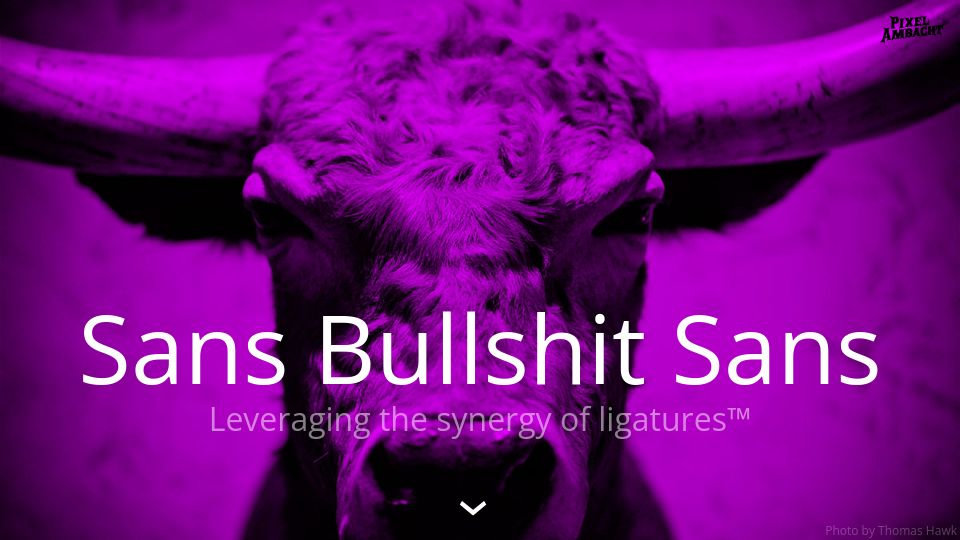 Screenshot of sansbullshitsans.com: Sans Bullshit Sans (2015)