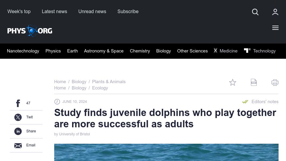 Screenshot of phys.org: Study finds juvenile dolphins who play together are more successful as adults