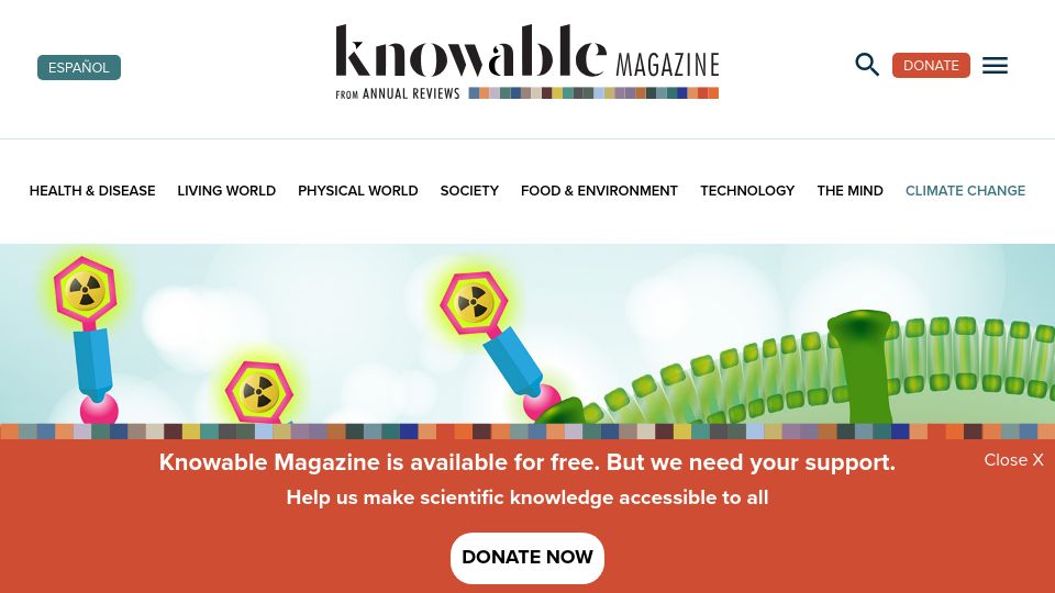 Screenshot of knowablemagazine.org: Radioactive drugs strike cancer with precision