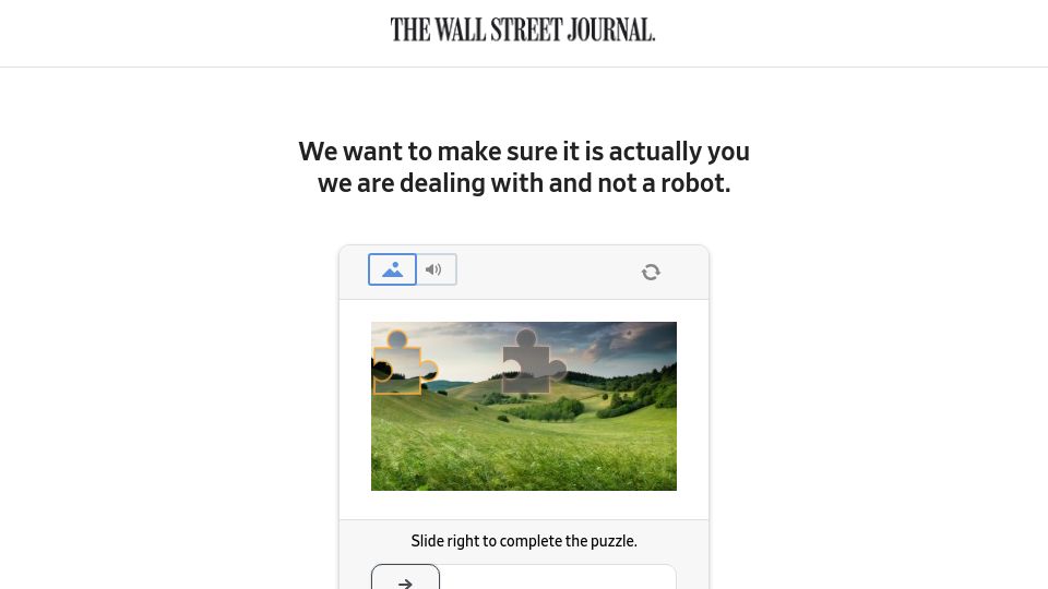 Screenshot of wsj.com: Social-Media Influencers Aren't Getting Rich–They're Barely Getting By