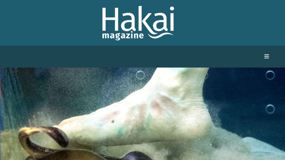 Screenshot of hakaimagazine.com: A Step Forward in Stingray Science