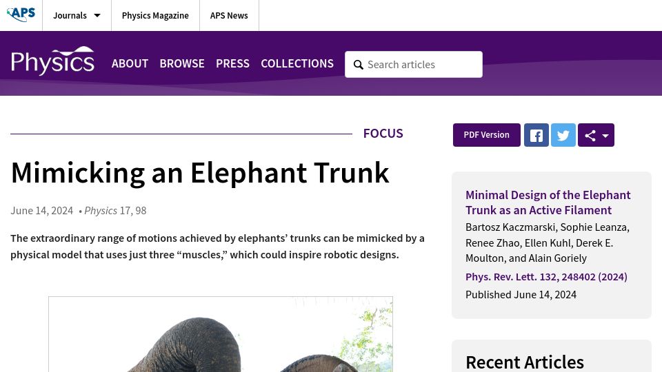 Screenshot of physics.aps.org: Mimicking an Elephant Trunk