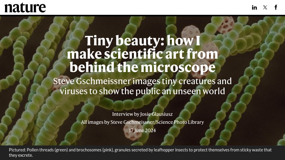 Screenshot of nature.com: Tiny beauty: how I make scientific art from behind the microscope