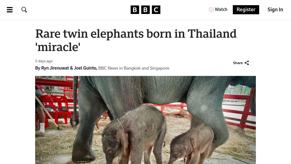 Screenshot of bbc.com: Rare twin elephants born in Thailand