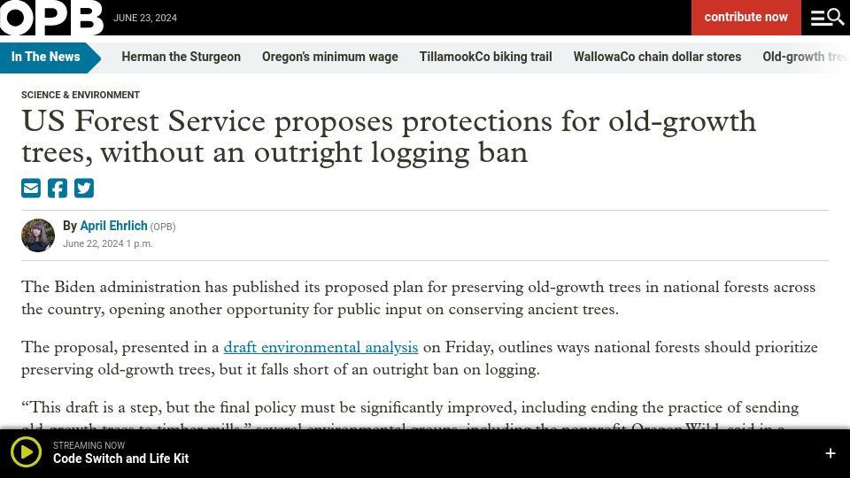 Screenshot of opb.org: US Forest Service proposes protections for old-growth trees, without logging ban