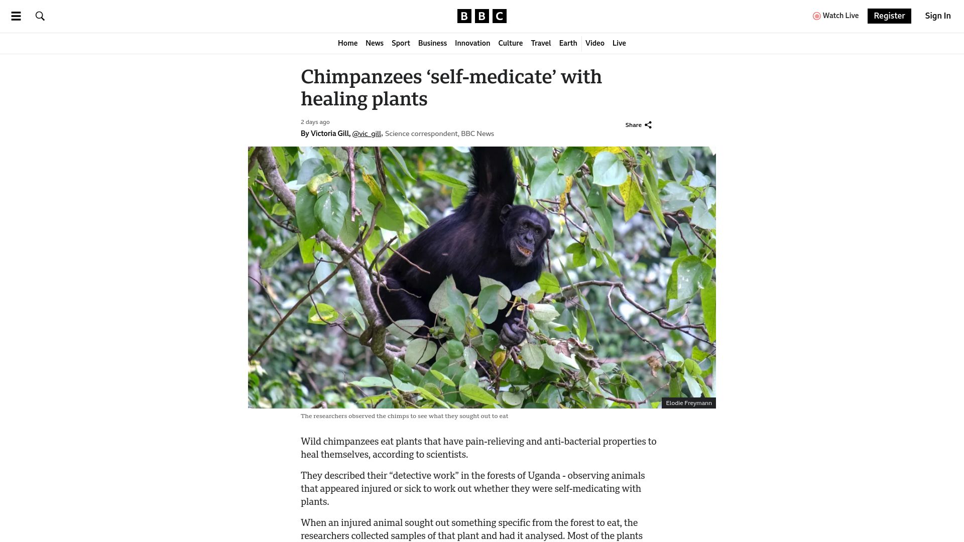 Screenshot of bbc.com: Chimpanzees 'self-medicate' with healing plants