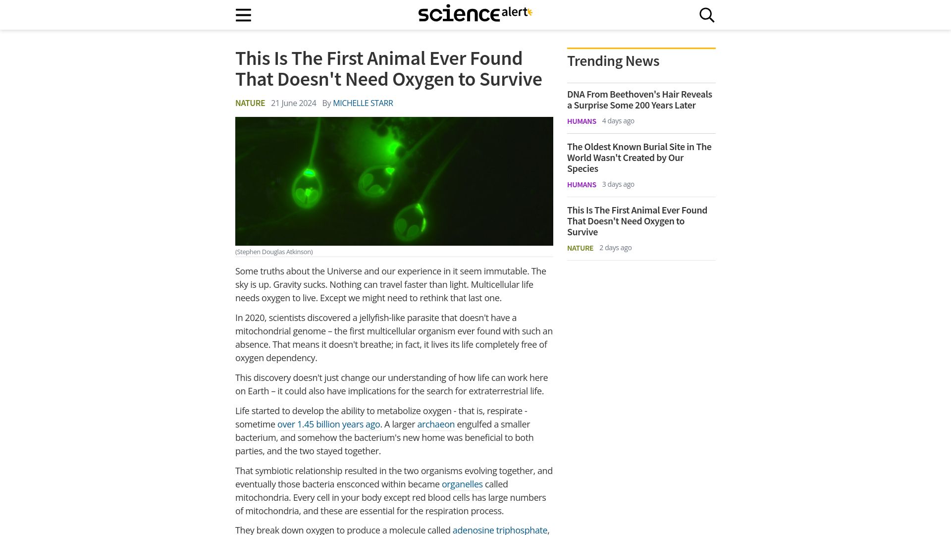 Screenshot of sciencealert.com: The First Animal Ever Found That Doesn't Need Oxygen to Survive