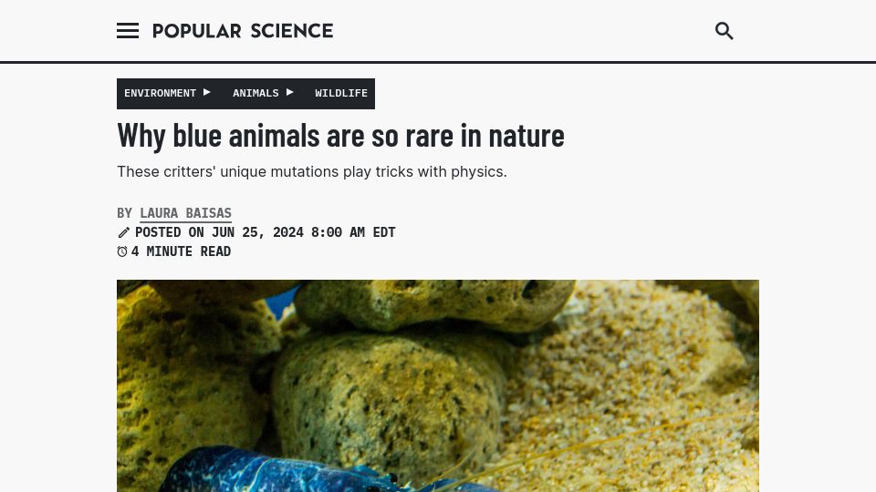 Screenshot of popsci.com: Why blue animals are so rare