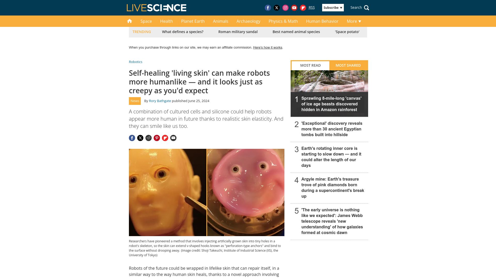 Screenshot of livescience.com: Self-healing 'living skin' can make robots more humanlike