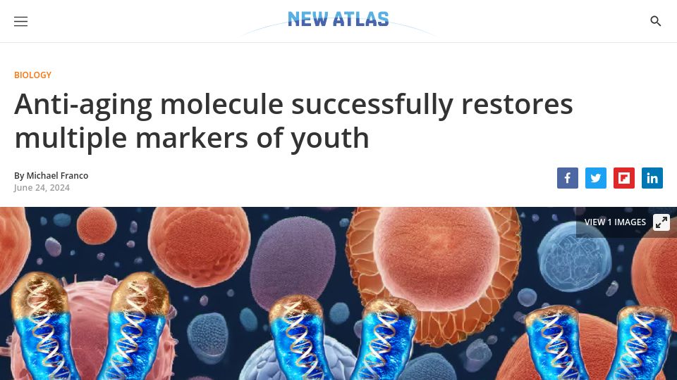 Screenshot of newatlas.com: Anti-aging molecule successfully restores multiple markers of youth