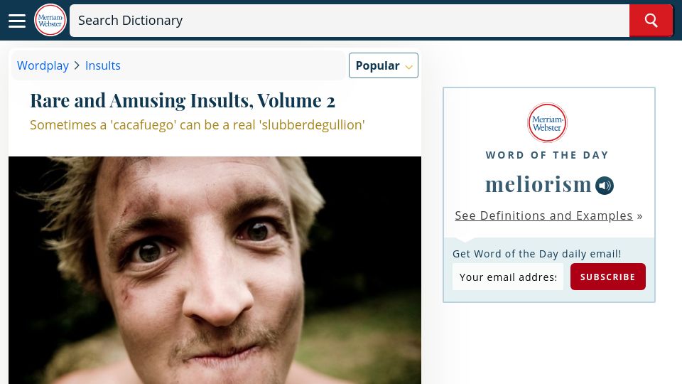 Screenshot of merriam-webster.com: Rare and Amusing Insults, Volume 2