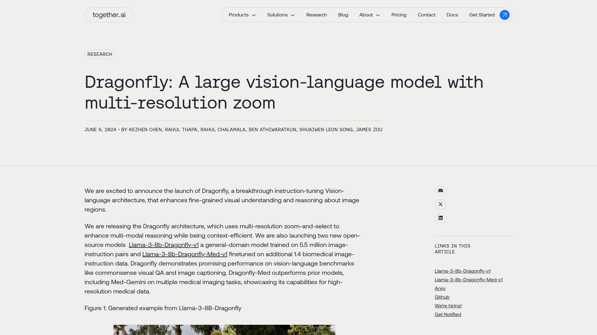 Screenshot of together.ai: Dragonfly: A large vision-language model with multi-resolution zoom