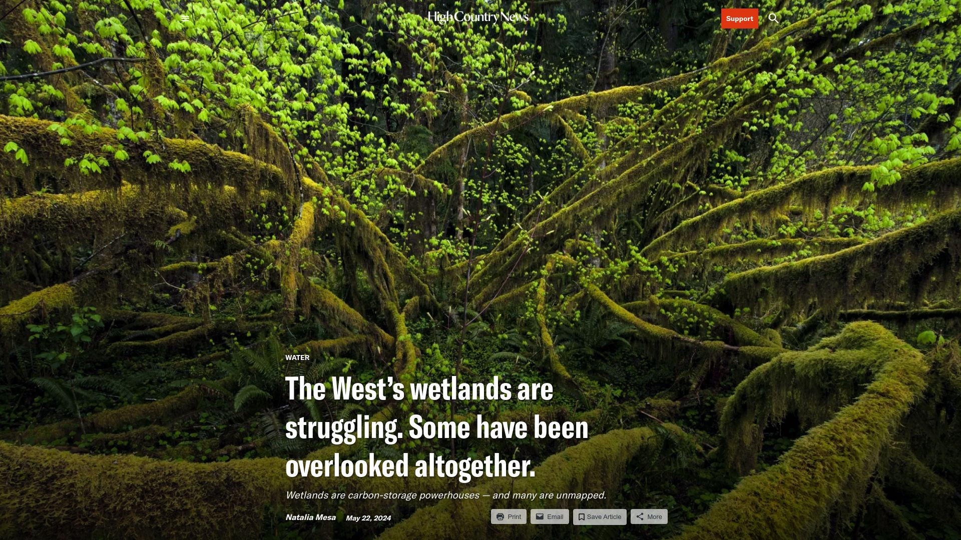 Screenshot of hcn.org: Forested wetlands are missing from maps