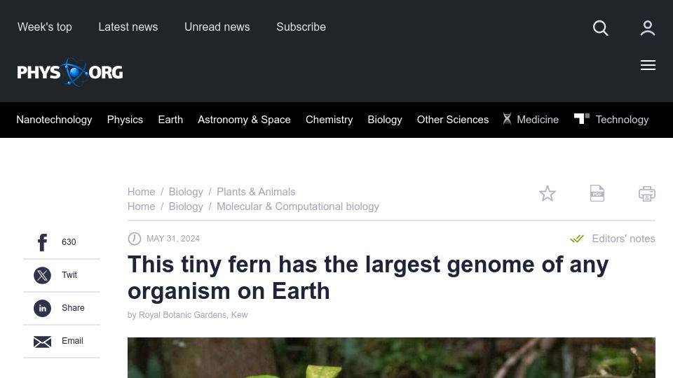 Screenshot of phys.org: Tiny fern has the largest genome of any organism on Earth