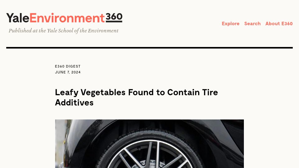 Screenshot of e360.yale.edu: Leafy vegetables found to contain tire additives