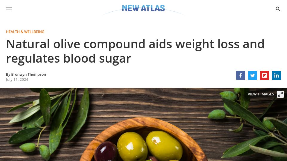 Screenshot of newatlas.com: Natural olive compound aids weight loss and regulates blood sugar