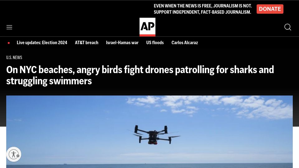 Screenshot of apnews.com: Oystercatchers are waging war on NYC's beach drones