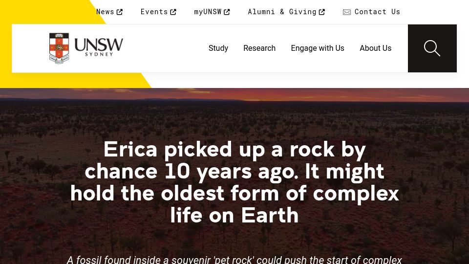 Screenshot of news.unsw.edu.au: A rock that might hold the oldest form of complex life on Earth