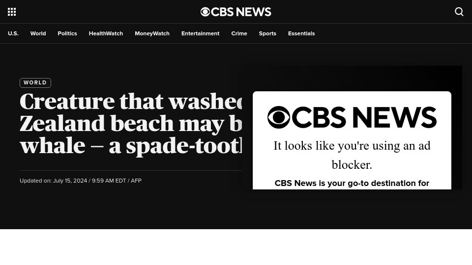 Screenshot of cbsnews.com: Creature that washed up on New Zealand beach may be rarest whale