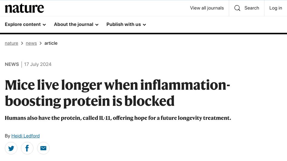 Screenshot of nature.com: Mice live longer when inflammation-boosting protein is blocked