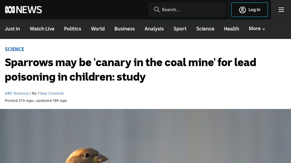 Screenshot of abc.net.au: Sparrows may be 'canary in the coal mine' for lead poisoning in children: study