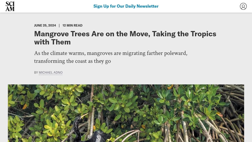 Screenshot of scientificamerican.com: Mangrove trees are on the move, taking the tropics with them
