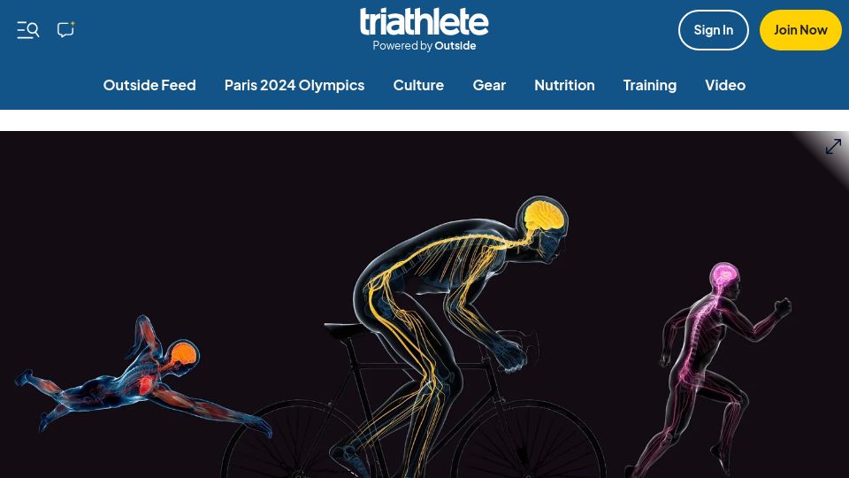 Screenshot of triathlete.com: A Neuroscientist Explains the Brain-Boosting Benefits of Swim, Bike, and Run