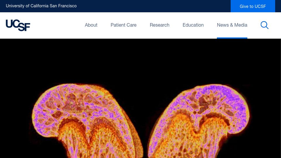 Screenshot of ucsf.edu: Scientists discover a new hormone that can build strong bones in mice