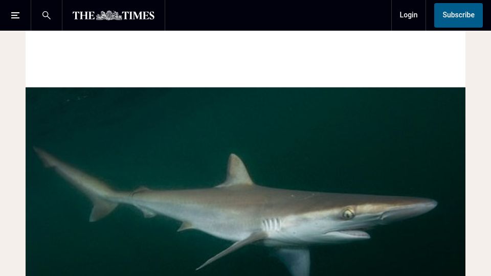 Screenshot of thetimes.com: Sharks test positive for cocaine in waters off Brazilian coast