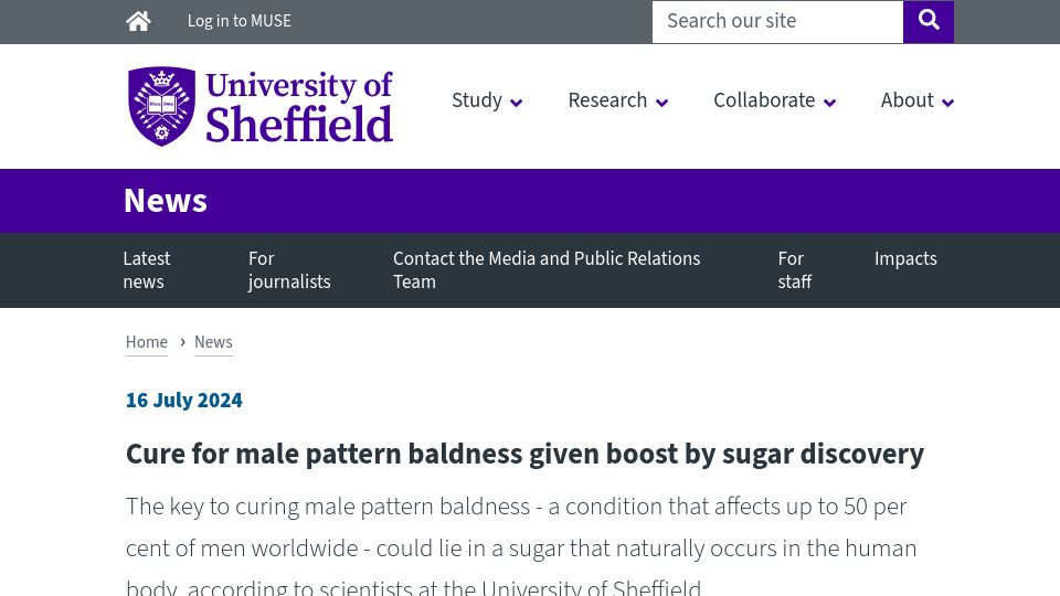Screenshot of sheffield.ac.uk: Cure for male pattern baldness given boost by sugar discovery