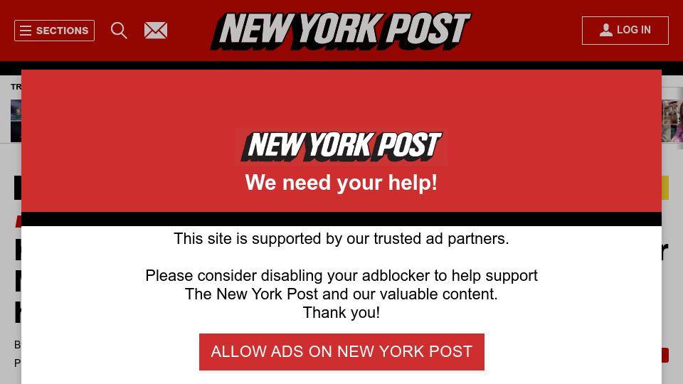 Screenshot of nypost.com: Orcas sink $128K yacht in Mediterranean attack: 'Like watching wolves hunt'