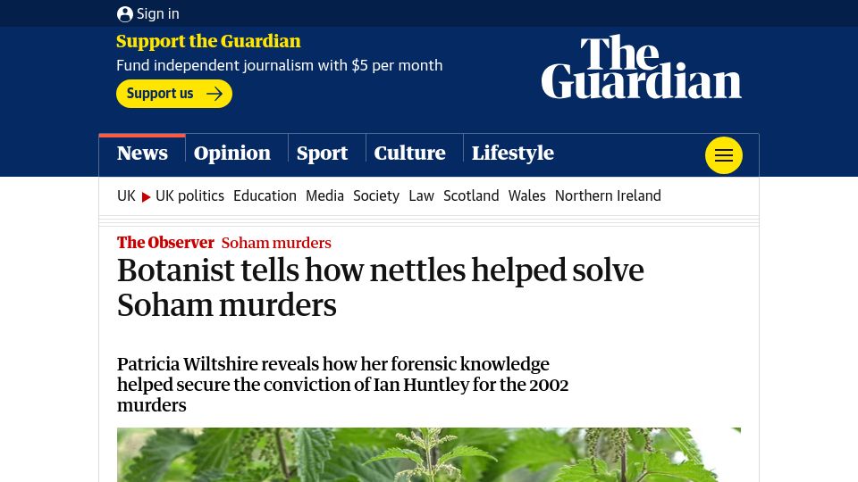 Screenshot of theguardian.com: Botanist tells how nettles helped solve Soham murders