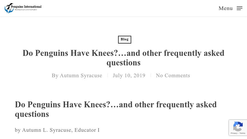 Screenshot of penguinsinternational.org: Do Penguins Have Knees? (2019)