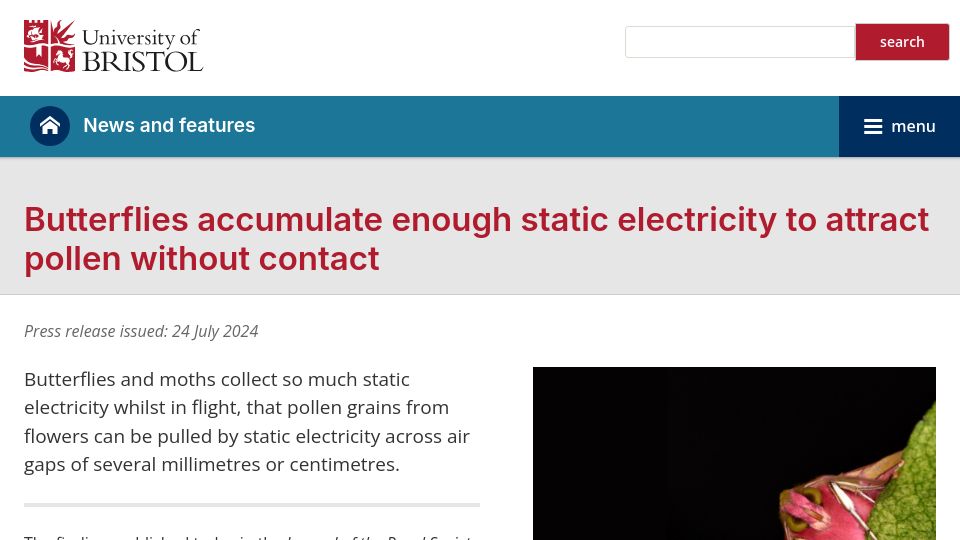 Screenshot of bristol.ac.uk: Butterflies accumulate static electricity to attract pollen without contact